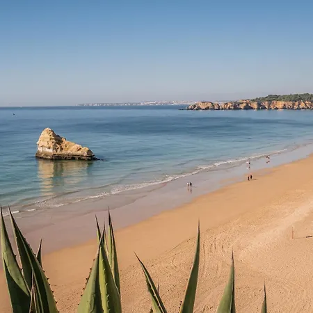 Διαμέρισμα Fortaleza Sea View *